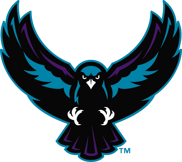 Rochester Knighthawks - Official Team Store